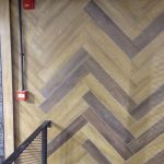 ΔΙΑΦΟΡΑ ΚΟΣΜΟΣ 11