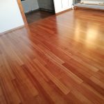 ΙΡΟΚΟ ΠΕΝΕΛΗ (3)