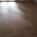 ΨΑΡΟΚΟΚΚΑΛΟ 2