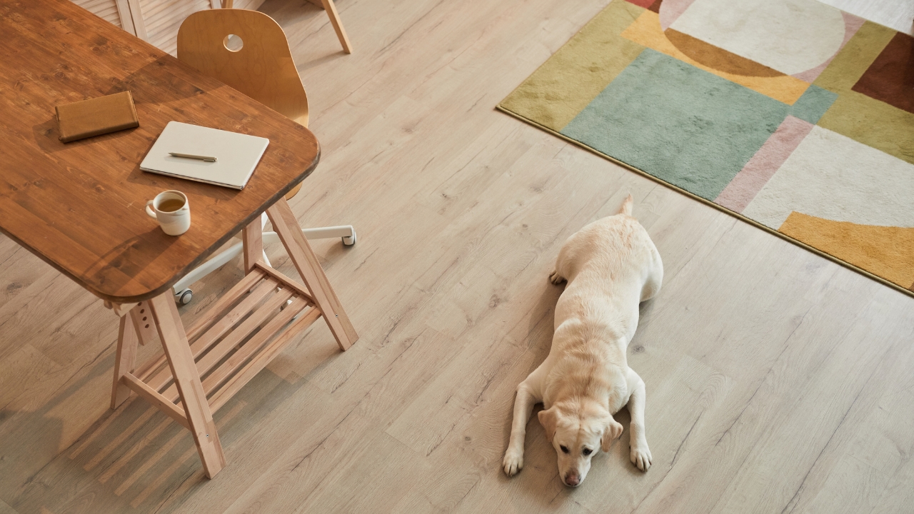 Laminate progialismeno masif patoma